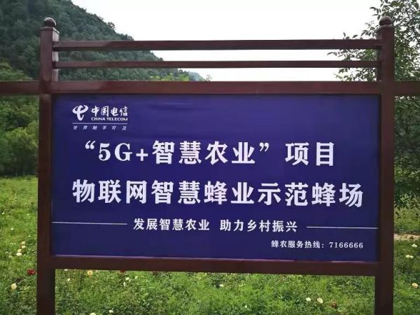 甘肃陇南“5G+智慧农业”物联网智慧蜂业示范蜂场